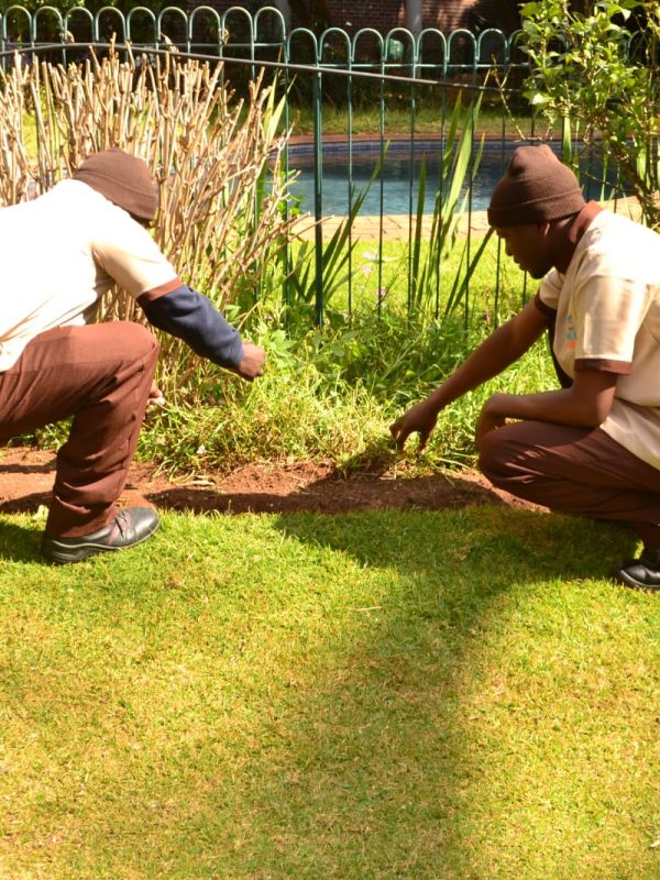 WhatsApp Image 2025-08-11 at 09.15.01